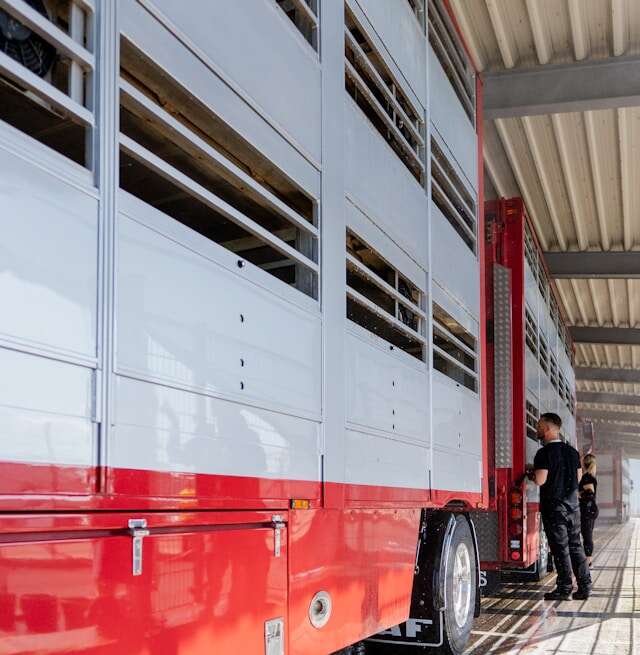 SuperTrailerShop — Premium Horse Trailers